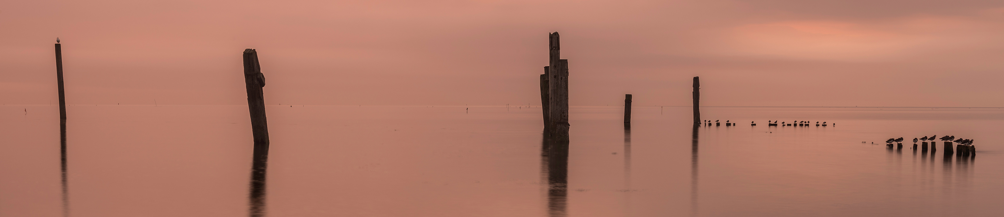 foto zonsopgang De Cocksdorp